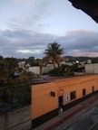 palma sola